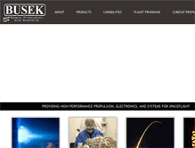 Tablet Screenshot of busek.com